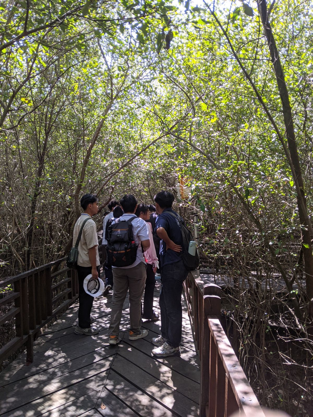 BRIDA Surabaya Perkuat Kolaborasi Internasional untuk Transisi Energi Berkelanjutan di Kebun Raya Mangrove